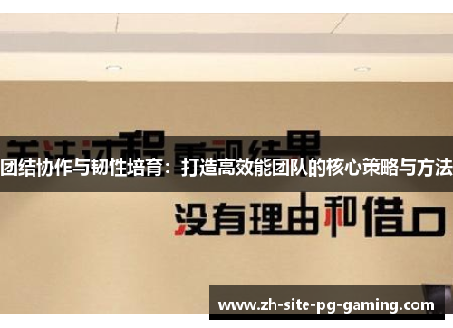 团结协作与韧性培育:打造高效能团队的核心策略与方法 团结协作与韧性培育:打造高效能团队的核心策略与方法