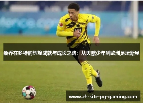 桑乔在多特的辉煌成就与成长之路：从天赋少年到欧洲足坛新星