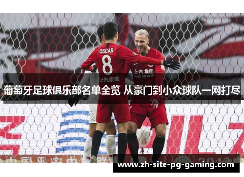 葡萄牙足球俱乐部名单全览 从豪门到小众球队一网打尽